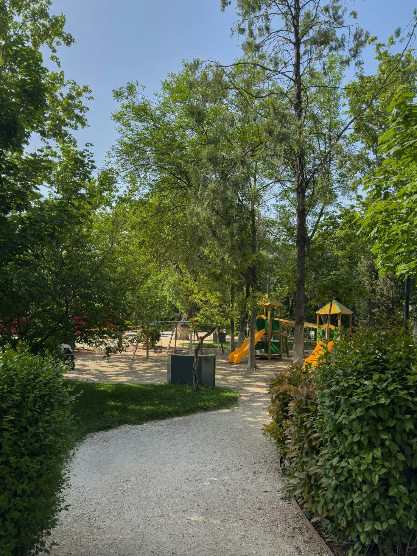 Green city park in Tbilisi with shaded paths and playground — popular for morning jogs