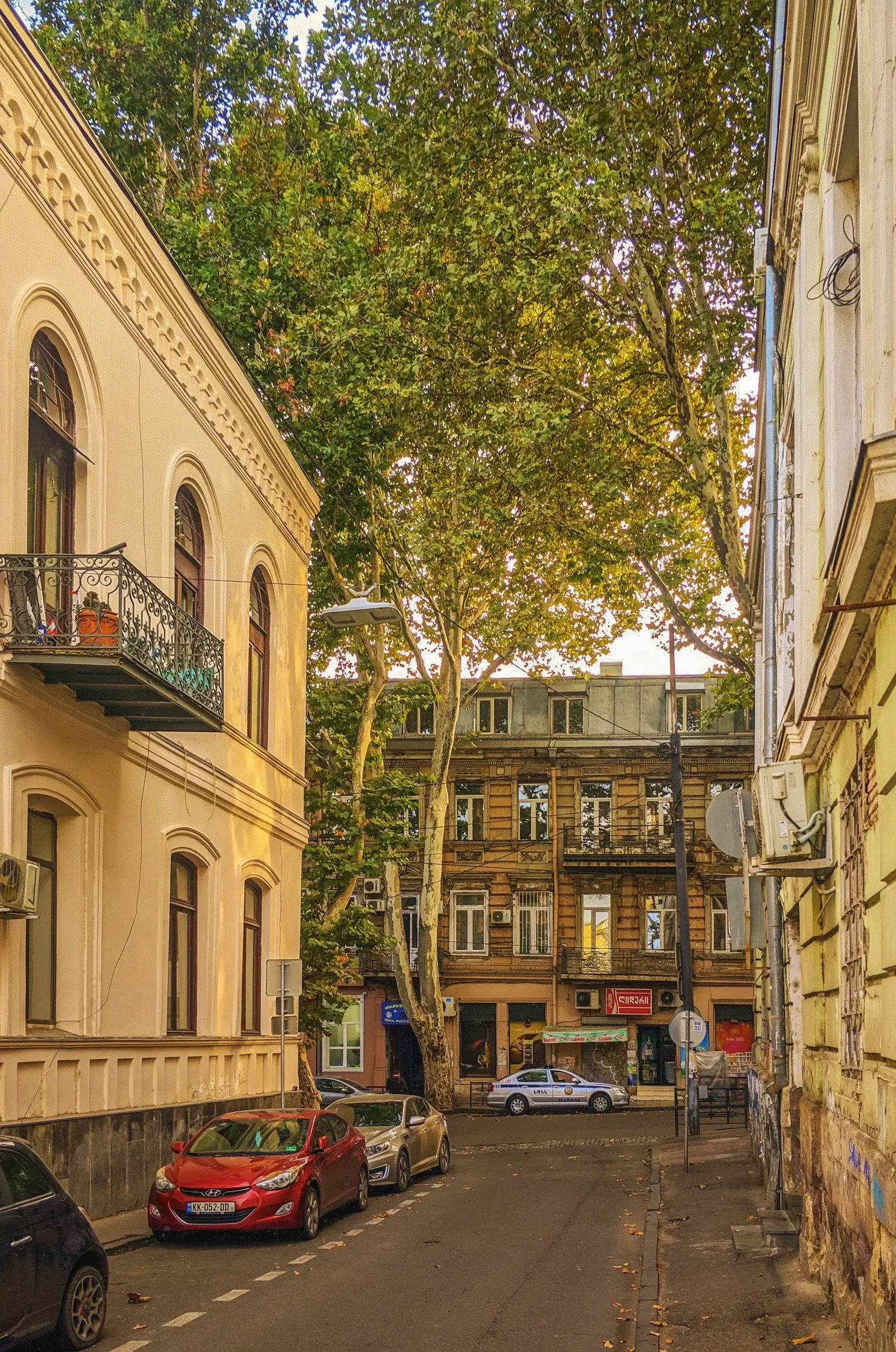 A tree-lined street in Tbilisi with traditional architecture, wooden balconies, and Georgian script signage